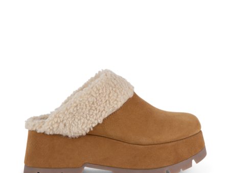 JUNEY TAN SUEDE Online